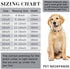 Gold Chain Dog Collar Link Dog Chain Metal Dog Chain Collars Dog Link Collar for Small Medium Large Dogs (14 Inch)...