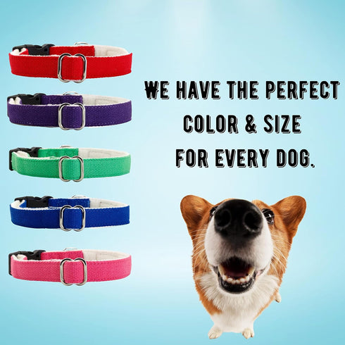 Pawsitive Hemp Dog Collar - Green Dog Collar - We Donate a Collar for Every Collar Sold. Help a shelter in Need! Solid Color Adjustable Collar Gre...