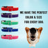 Pawsitive Hemp Dog Collar - Green Dog Collar - We Donate a Collar for Every Collar Sold. Help a shelter in Need! Solid Color Adjustable Collar Gre...