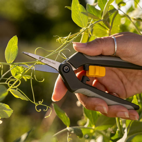 Co. Heavy Duty Nano Tip Snip, Stainless Steel Blades, Hydroponic Snip, Bud Leaf Trimmer, Flower Pruning Cutter, Bypass Herb Harvesting, Rose Garde...