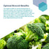 Life Extension Optimized Broccoli & Cruciferous Blend – Broccoli Seed, Rosemary, Cabbage Extract Green Vegetable Food Supplement - Gluten-Free, No...
