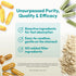 ANDREW LESSMAN Secure Soy Complete Meal Replacement - Chocolate 10 Servings - Only 67 Calories, 7g Non-GMO Soy Protein, Vitamins and Minerals, Low...