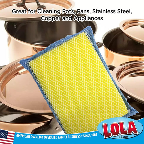 Lola Products Microfiber Terry & Nylon Net | Non-Scratch 2-Way Cleaning Sponge Scrubber | Dual Sided Nylon Net & Terry Cloth | Gently Scrubs & Wip...