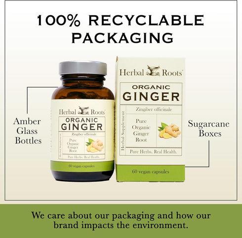 Herbal Roots Ginger Supplement | Organic Ginger Root Capsules | 1,200 mg of Pure Ginger Powder per Serving | 60 Vegan Capsules...