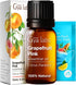 Gya Labs Grapefruit Essential Oil for Skin & Diffuser - 0.34 Fl Oz - 100% Pure Natural Grapefruit Oil for Skin, Hair, Aromatherapy DIY & Candle Ma...