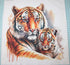 Fabric Panel 14"x14" Tigers 100% Cotton Quilting Panel Square AM1574...