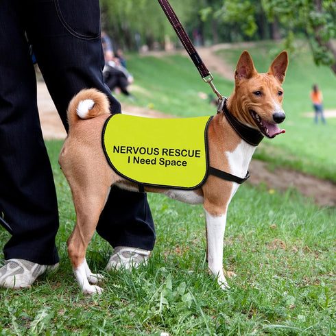 Rescue Dog Jacket Vest Nervous Rescue Space Dog Vest Dog Walking Slogan Warning Vest (Nervous Rescue Space-Medium)...