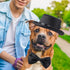 2 Pieces Pet Formal Accessories Set - Pet Top Hat with Pet Formal Necktie/Bowtie Birthday Party Gradation Halloween Costumes Accessories for Dog C...