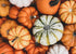 Food to Live - Raw Pepitas, 8 Ounces Non-GMO Verified, Pumpkin Seed Kernels, Unsalted, No Shell, Vegan, Kosher, Keto, Bulk. Wholesome Snack. High ...