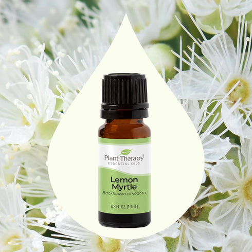 Plant Therapy Lemon Myrtle Essential Oil 10 mL (1/3 oz) 100% Pure, Undiluted, Therapeutic Grade...