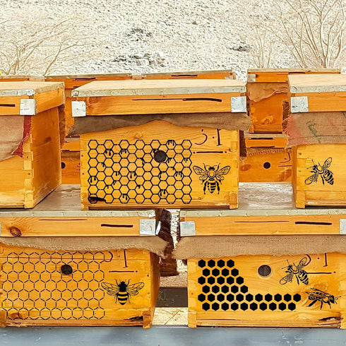 8 Pcs Bee Stencils for Painting on Wood, Honeycomb Hexagon Drawing Template Honey Comb Bee Stencil for Wood Wall Canvas Furniture DIY Crafts Decor...