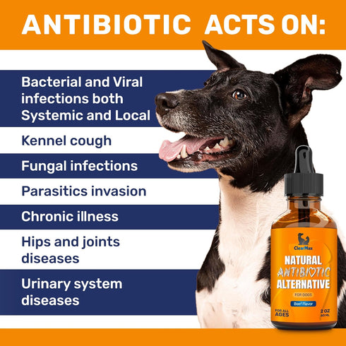 Antibiotic for Dogs ? Dog Antibiotic ? Natural Antibiotics for Dogs ? Pet Antibiotic ? Dog Antibiotics with Beef Flavor ? 2 Oz...