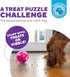 Outward Hound Mazee Puzzle Ball Interactive Treat Dispensing Dog Toy, Pink...