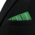 S&W SHLAX&WING Striped Pocket Squares for Men Kelly Green with Blue Stripes Gift...