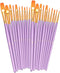 BOSOBO Paint Brushes Set, 2 Pack 20 Pcs Round Pointed Tip Paintbrushes Nylon Hair Artist Acrylic Paint Brushes for Acrylic Oil Watercolor, Face Na...
