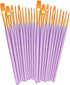 BOSOBO Paint Brushes Set, 2 Pack 20 Pcs Round Pointed Tip Paintbrushes Nylon Hair Artist Acrylic Paint Brushes for Acrylic Oil Watercolor, Face Na...