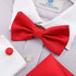 Dan Smith Men Bow Ties Red Gingham Bowties Handkerchiefs Cufflink Set Polyester 25.6"-Neck-Size Clip-On Adjustable Ski Fabric DBC3016 Red...