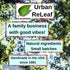 Urban ReLeaf Oral Wound Cleansing Salt 6 oz Bag! Makes 90 Cups of Healing Solution. Soothe, Heal Irritation, Dental Work. 100% Natural, Braces, Mo...