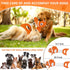 Squeaky Dog Toys, Durability Interactive Tug of War Puppy Toys for Indoor and Outdoor Play - Stuffed Pet Dog Toys with Soft Fabric Suitable for Sm...