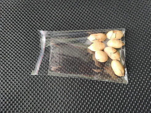 Cellophane Bag 5 x6.5 inch Clear Resealable Bags Plastic Self Adhesive Bags Good for Bakery,Favors, Candle, Soap, Cookie Office Stationery Storage...