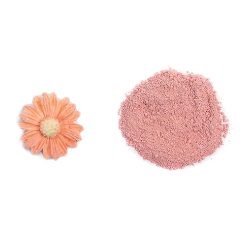 Watermelon Petal Dust | Pastel Pink Matte Powder | Premium Decoration Dust for Cake Accessories | Sugar Fondant Powder | DIY Crafting | Non-Toxic ...