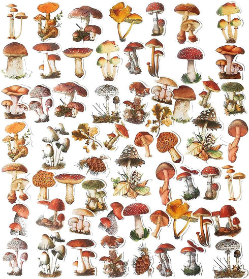 60PCS Mushroom Laptop Stickers Decals, Doraking DIY Mushroom Plants Decoration Stickers Decals for Windows, Refrigerator, Decoration (Mushroom Col...