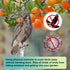 Fake Owl Decoy to Scare Birds, 2Pack Reflective Birds Deterrent Owl Bird Scarer Dual-Side Printed Owl for Farms, Orchards, Gardens, Window...