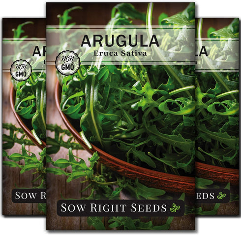 Sow Right Seeds - Arugula Seeds for Planting - Non-GMO Heirloom Seeds with Instructions to Plant a Home Vegetable Garden - Indoors, Hydroponics or...