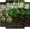Sow Right Seeds - Arugula Seeds for Planting - Non-GMO Heirloom Seeds with Instructions to Plant a Home Vegetable Garden - Indoors, Hydroponics or...
