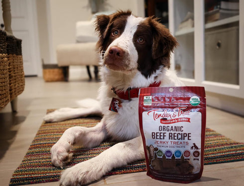 Tender & True Pet Nutrition Organic Beef Jerky Treats (71005)...