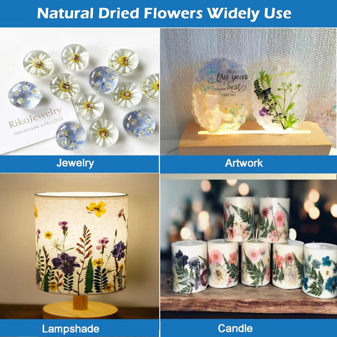 Flowers for Resin Model, Real Pressed Flowers Dry Leaves Bulk Natural Herbs Kit for Scrapbooking DIY Art Crafts, Epoxy Jewelry, Candle, Soap Makin...