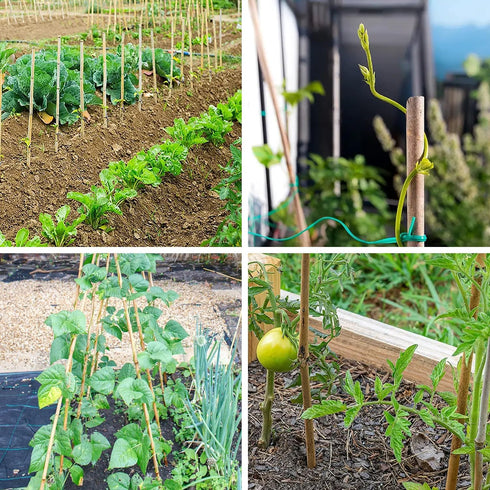 Plant Stakes Natural Garden Bamboo Sticks for Indoor and Outdoor Plants, 20pcs Plant Support Stakes for Tomatoes, Beans, Potted Plants - 18 inches...
