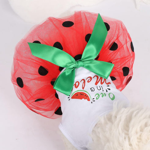 Dog Dress for Small Medium Dogs Girl Watermelon Polka Dots Mesh Dress Dog Outfit, Summer Fall Tutu Dog Dresses Cat Apparel, Cute Pet Puppy Clothin...