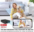 64GB Micro SD Card, High-Speed Memory Cards - Reliable Storage Solutions for Your Devices...
