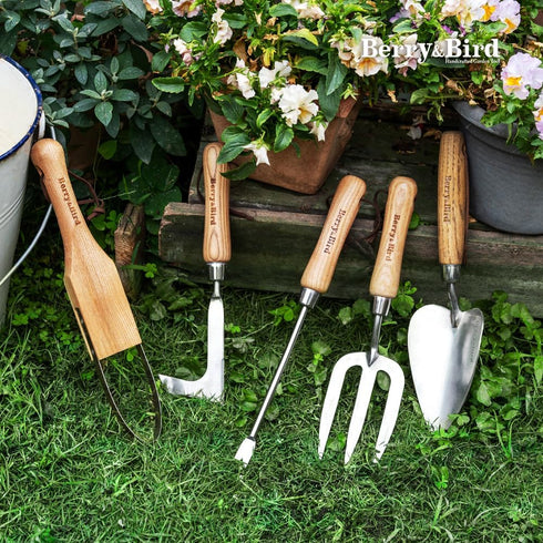 Berry&Bird Weeding Tool Crack Weeder Manual Hand Weeder, V-Shaped Fork Easy Weed Removal & Uprooting, Garden Weed Puller Tool for Patio Lawn Yard...