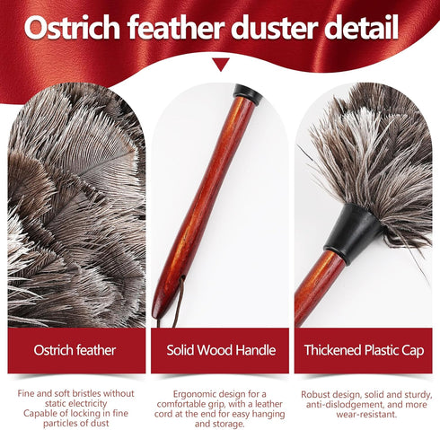 Ostrich Feather Duster (Set of 2), 14-Inch, Indulge in Effortless Elegance with Premium Reusable Design for Thorough, Eco-Friendly Cleaning at Hom...