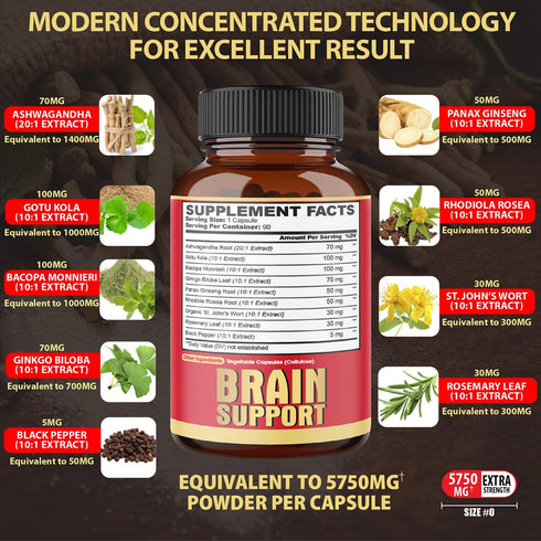 9in1 Brain Support Supplement - Concentrated Ashwagandha Root, Gotu Kola Powder, Bacopa Monnieri Powder and More - 90 Capsules - 3-Month Supply...