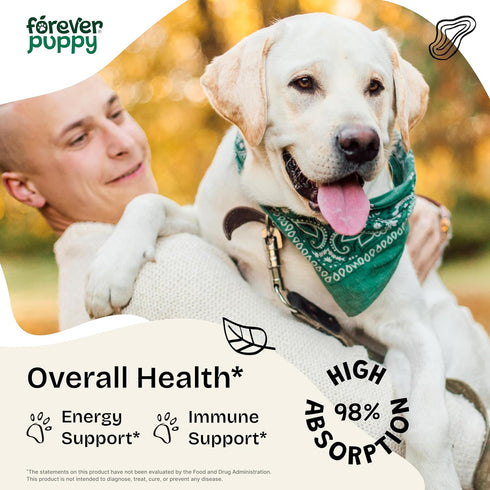 Irish Sea Moss Drops for Dogs - Thyroid & Energy Support for All Breeds & Sizes - Dog Food Supplements with Liquid Seamoss Extract - Natural Vitam...
