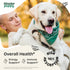 Irish Sea Moss Drops for Dogs - Thyroid & Energy Support for All Breeds & Sizes - Dog Food Supplements with Liquid Seamoss Extract - Natural Vitam...