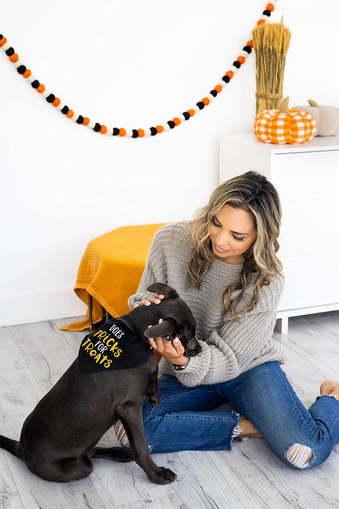 Pearhead Trick or Treat Bandana, Fall Holiday Dog Apparel, Halloween Dog Costume, Dog Slip On Collar Accessories, Small/Medium, S/M...