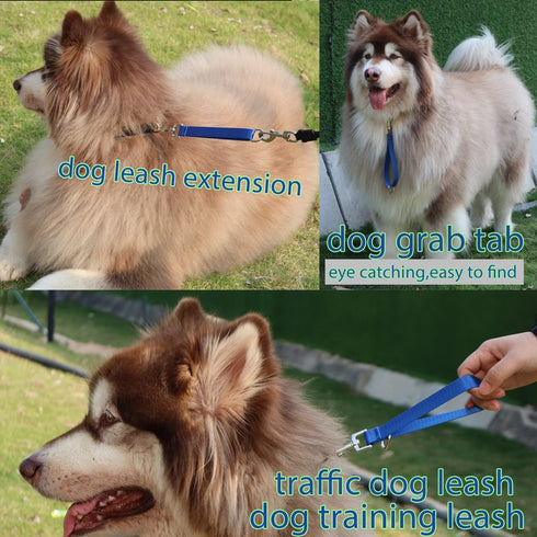 Traffic Dog Leash Dog Training Leash Pet Dog Traffic Grab Handle Dog Grab Tab Training Tab (green & blue)...
