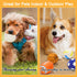 2.4" Squeaky Latex Dog Toy Ball Sports Balls Sets, Soft, Bouncy & Durable for Small Medium Dogs Puppy Interactive Chew Toys 5 Pcs/Set...