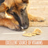 Sweet Potato Treats for Dogs – 12 oz. (Great Low Calorie, Low Fat Alternative to Traditional Dog Biscuits, Dog Cookies, and Dog Bones) Healthy Dog...