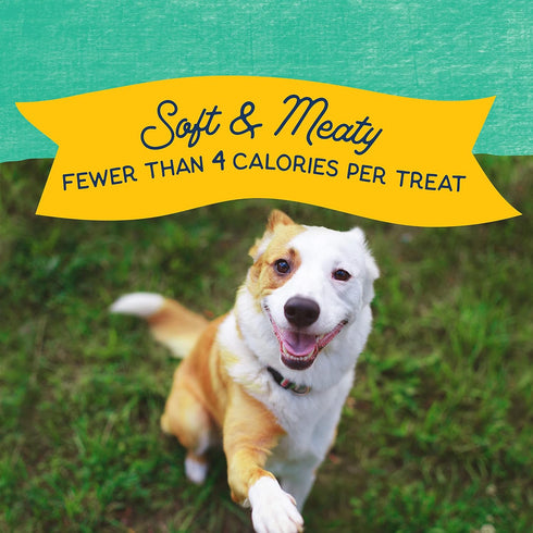 Natural Balance Limited Ingredient Mini-Rewards Chicken Grain-Free, Training Treats for Dogs | 5.3-oz. Canister...