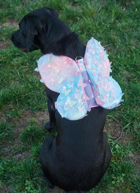 Simplicity Lightly Padded Dog Harness with Wings Sewing Pattern Packet by Carla Reiss, Design Code S9875, Sizes S-M-L, Multicolor...