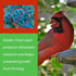 Feeder Fresh Bird Feeder and Seed Protector | Keeps Bird Seed for Outside Feeders Clean, Dry and Fresh Preventing Bird Feeder Seed from Caking | W...
