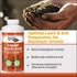 Organic Liquid Humic Soil Health Formula, Great for Houseplants, Gardens and Lawns, by Bloom City, 1/2 Pint (8 oz) Concentrated Makes 30+ Gallons...