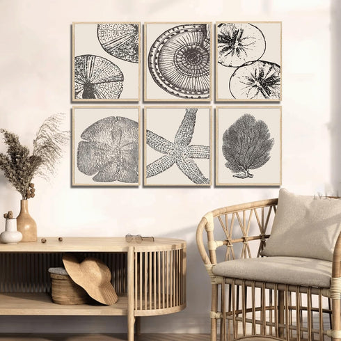 WYHLMTQ 6Pcs Boho Beach Coastal Posters Canvas Wall Art Modern Abstract Painting Shell Pictures Prints Wall Decor Beach Gallery Artwork for Beach ...