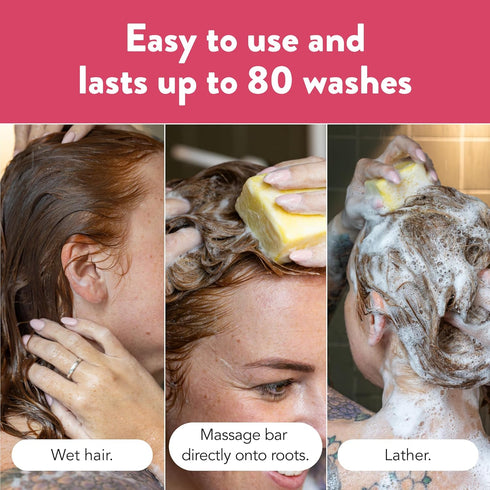 Ethique Rice Shampoo Bar for Dry and Damaged Hair - Sorbet |Paraben Free, Sulfate Free, Vegan, Cruely Free, 3.88 oz...