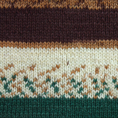 Patons Kroy Socks Yarn - (1) Gauge - 1.75 oz - Woodsie Woodsie - For Crochet, Knitting & Crafting......